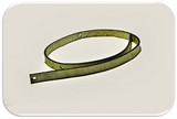 auto_feeder_cloth_belt